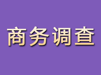 宜阳商务调查